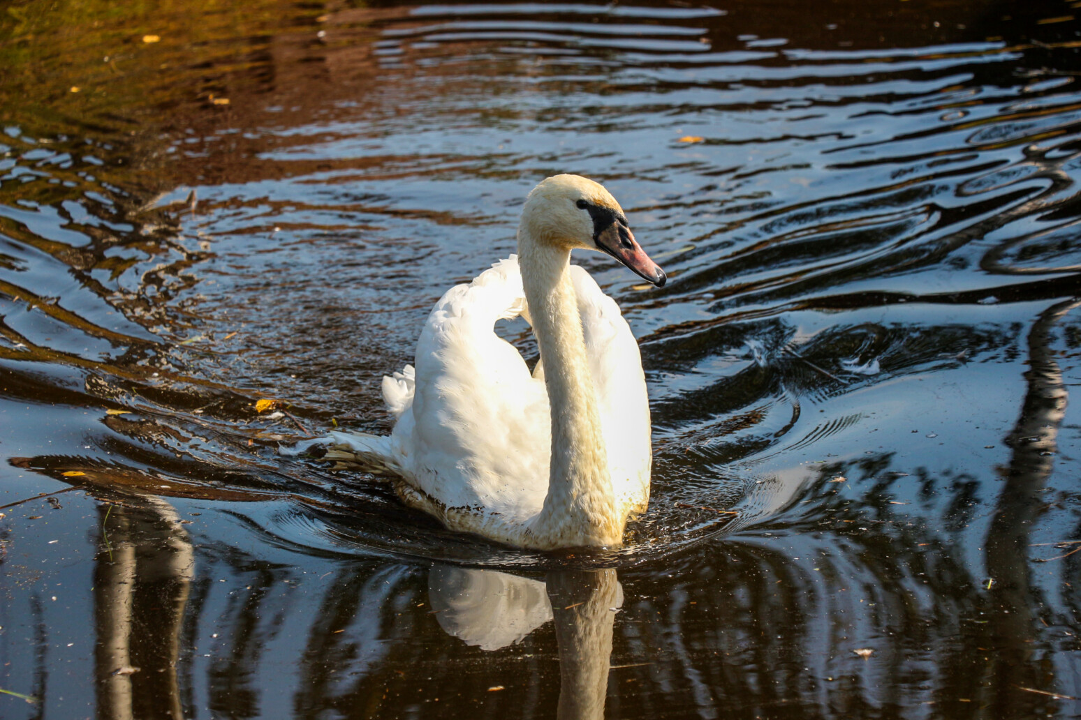 Погода 15 апреля в Могилевской области: ожидаются ли грозы и потепление, рассказали синоптики