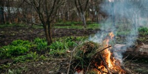 В Могилеве мужчина уснул у костра и попал в больницу