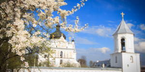 Погода на выходные в Могилевской области: ночные заморозки и не выше +10°С днем