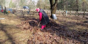 Почему мусорить не только неэкологично, но и дорого, напомнила областная санэпидслужба