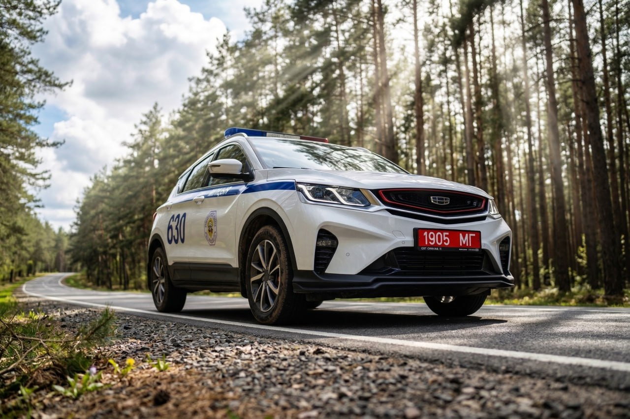 За выходные в Могилевской области — 498 нарушений и одно ДТП