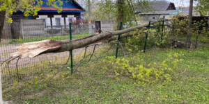 Непогода в Могилевской области: где пострадали здания и что известно
