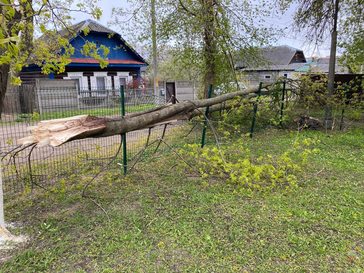 Непогода в Могилевской области: где пострадали здания и что известно