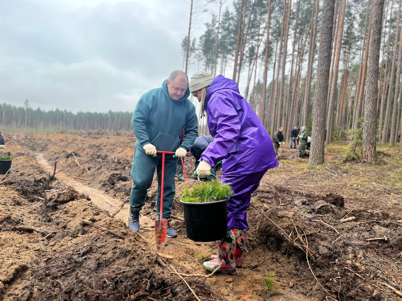 Руководители структурных подразделений Могилевского облисполкома приняли участие в республиканском субботнике