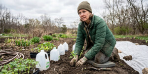 Вы рано высаживаете рассаду: ошибка, которую делает почти каждый весной