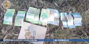 Незапертая машина обернулась кражей в Могилевском районе