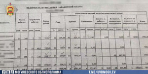 Фиктивная работа в Могилеве: супруги получили 16 тысяч рублей
