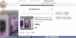 Могилевчанин попался на мошенничестве в интернете