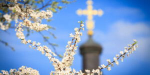 Погода 11 апреля в Могилевской области: дождь с мокрым снегом и однозначная цифра на градуснике