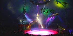 Магия под куполом цирка шапито «13 метров»