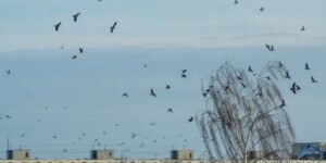 Погода на выходные: ветрено и прохладно ожидается в Могилевской области