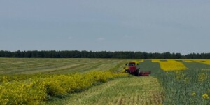 Погода 18 мая в Могилевской области: днем ожидается дождь, ночью — грозы