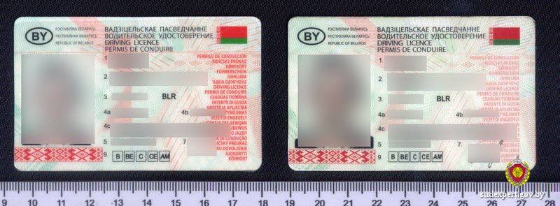 Бесправник «вернул» себе права, купив их в России