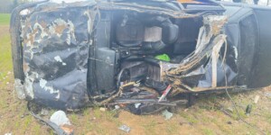 Лось выбежал на дорогу: ДТП с пострадавшими под Могилевом