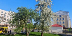 Погода в Могилевской области 6 мая: будет жарко по-летнему