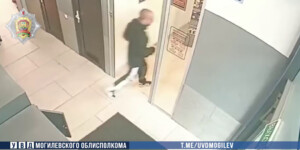 В Могилеве гость обокрал хозяйку квартиры