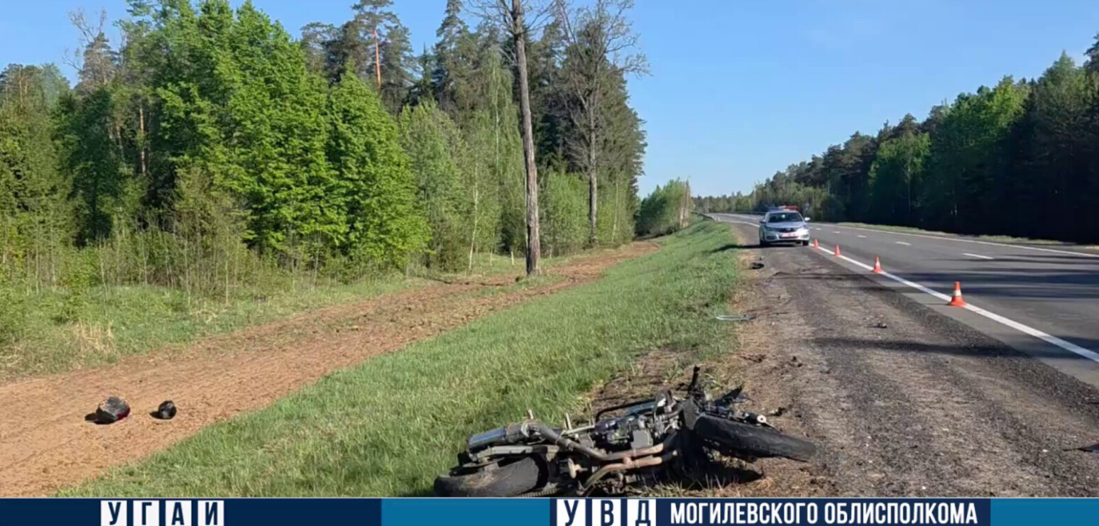 Под Могилевом мотоциклист врезался в выбежавшего на дорогу лося