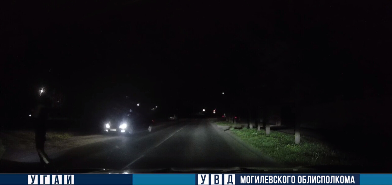 В Могилеве задержали пьяную женщину за рулем автомобиля