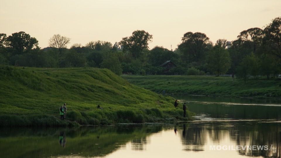 Погода 21 мая в Могилевской области: температура воздуха местами  достигнет +31°С