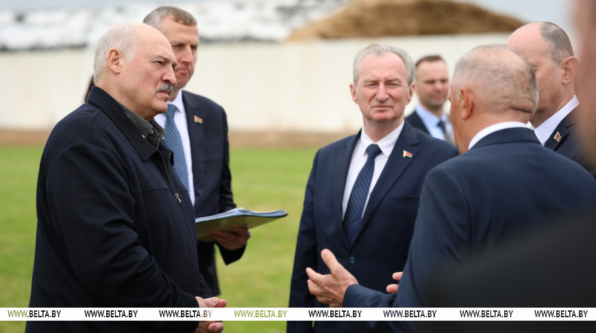 Как без сильных реформ иметь рентабельное животноводство. Лукашенко оценил опыт в Узденском районе