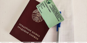 Какие условия необходимо соблюсти работнику и нанимателю при трудоустройстве — разъяснили в Минтруда