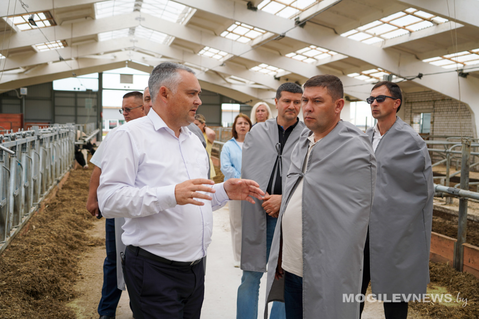 Приморский край присматривается к белорусским технологиям: делегация посетила сельхозобъекты Могилевщины. Фото