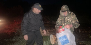 Под Осиповичами пять часов искали заблудившегося грибника