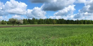 Погода на выходные в Могилевской области: кратковременные дожди и около +20°С