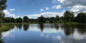 Погода 1 июля в Могилевской области: все еще выше +30°С и без осадков