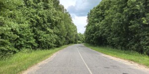 Погода 29 июня в Могилевской области: до +36 °С, грозы
