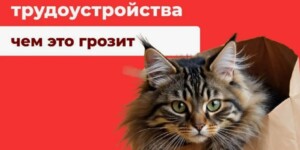 За неоформленного работника придется платить больше с 19 июня