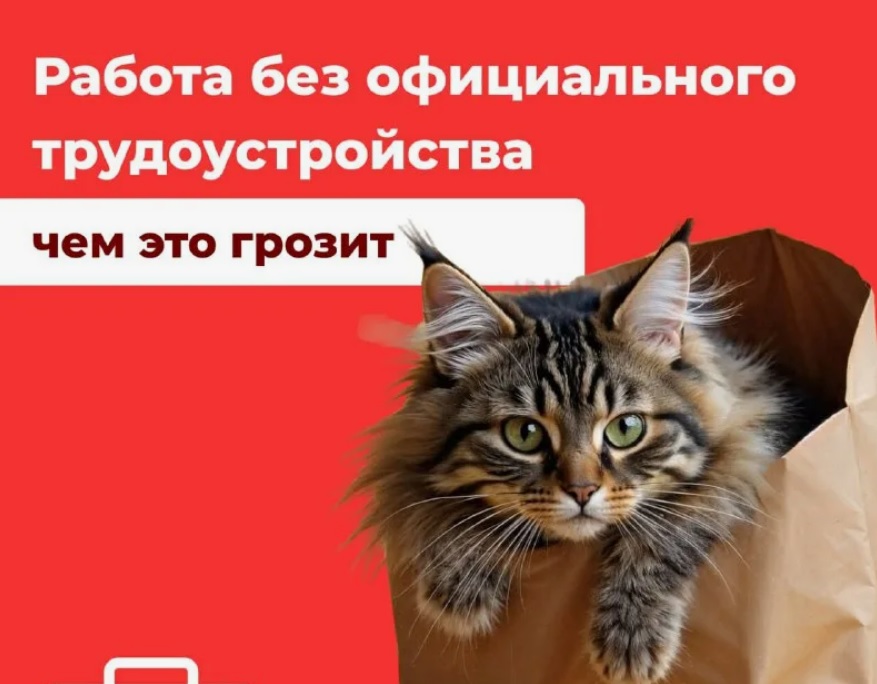 За неоформленного работника придется платить больше с 19 июня