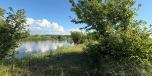 Погода 5 июля в Могилевской области: около +20°Ϲ, возможны грозы