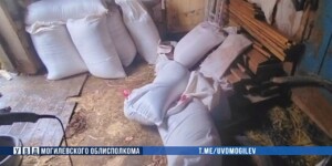 В Кировском районе животновод похищал комбикорм и продавал знакомым
