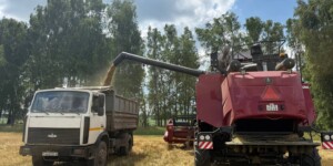 Завершается уборка ячменя: как проходит страда в «Агрокомбинате «Восход» в Могилевском районе