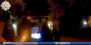 В Могилевском районе похитили почти 600 литров окрашенного дизтоплива