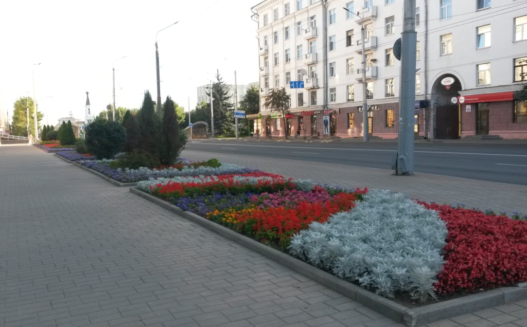 Погода 12 августа в Могилевской области: по-летнему прохладно, вероятность осадков невелика