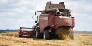 Беларусь намолотила почти 8,6 млн тонн зерна: Могилевская область — 1,04 млн