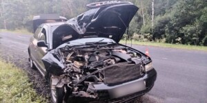 Смертельное ДТП в Дрибинском районе: погиб водитель мотоблока