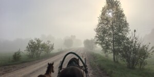 Погода 7 августа в Могилевской области: ливни, град, шквалистый ветер, но без изнуряющей жары