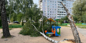 Восемь выездов МЧС: последствия грозового фронта в Могилевской области