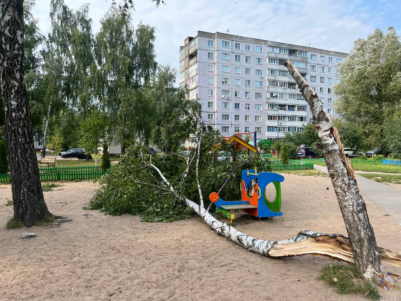 Восемь выездов МЧС: последствия грозового фронта в Могилевской области