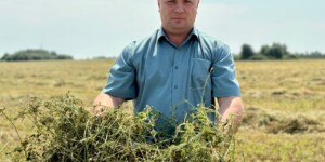 Кормовая база – фундамент продовольственной безопасности