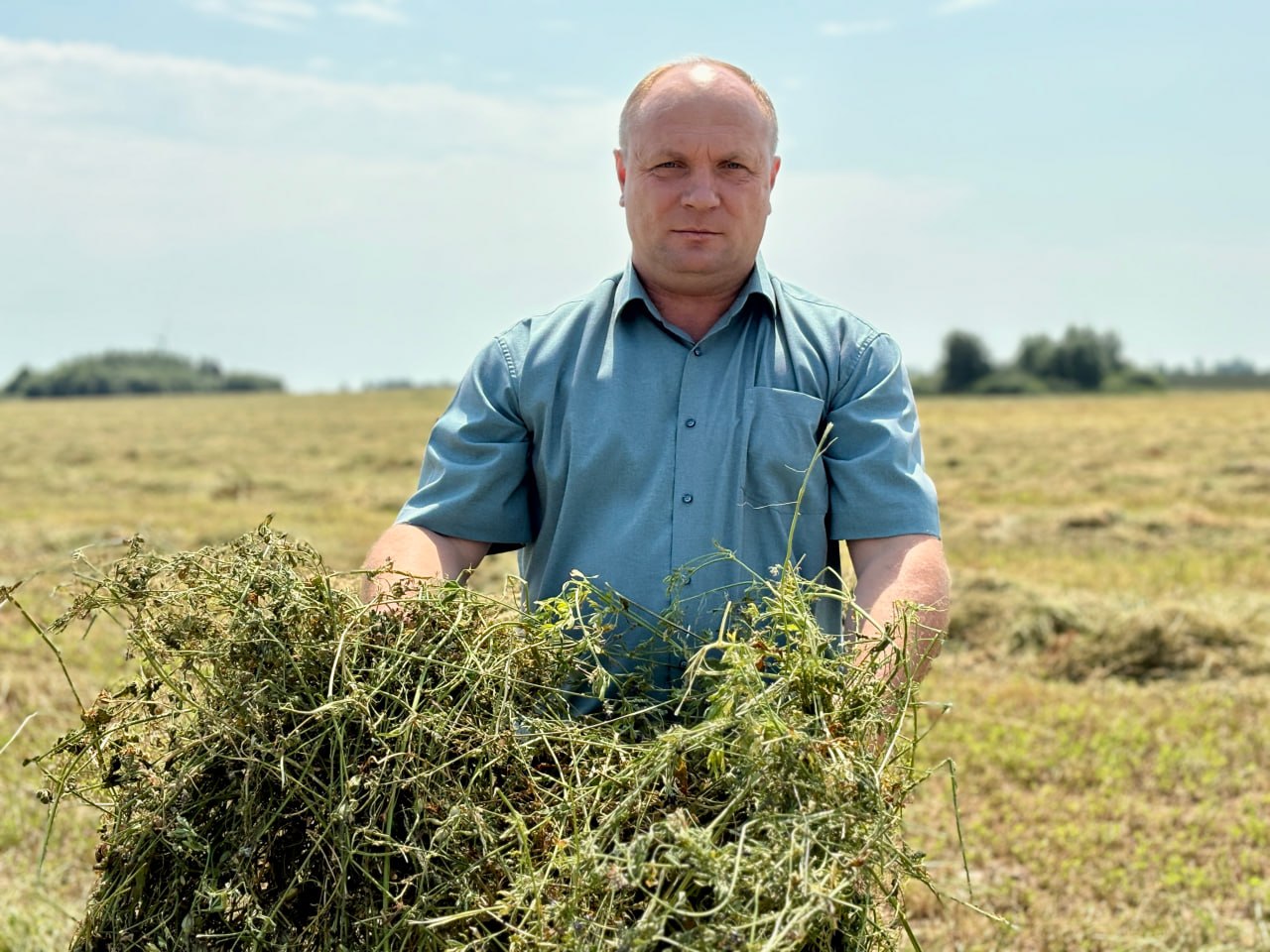Кормовая база – фундамент продовольственной безопасности
