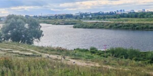 Погода в Могилевской области 25 августа: похолодание продолжается
