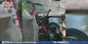 Гаражный вор попался в Бобруйске