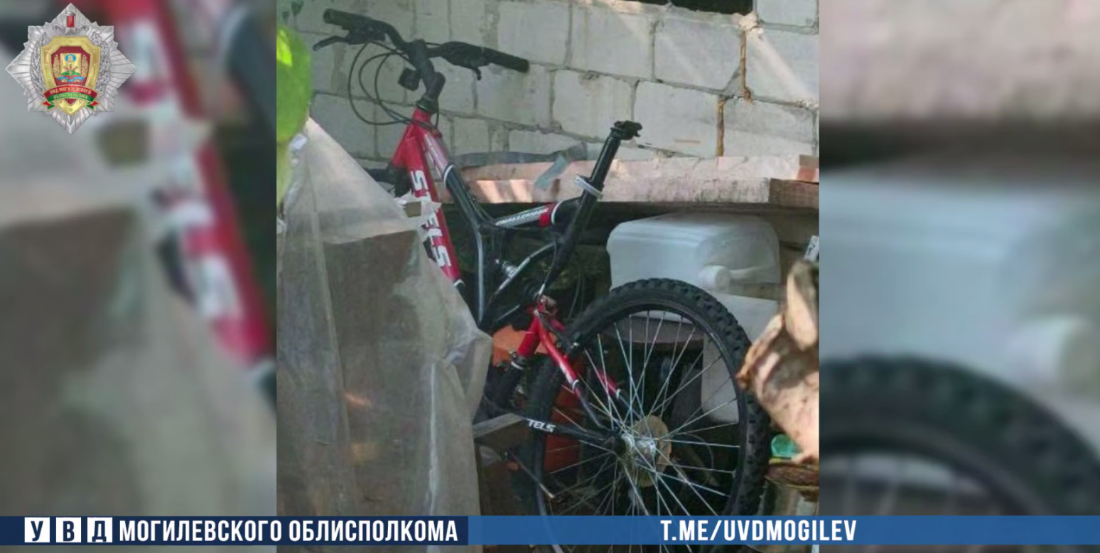 Гаражный вор попался в Бобруйске