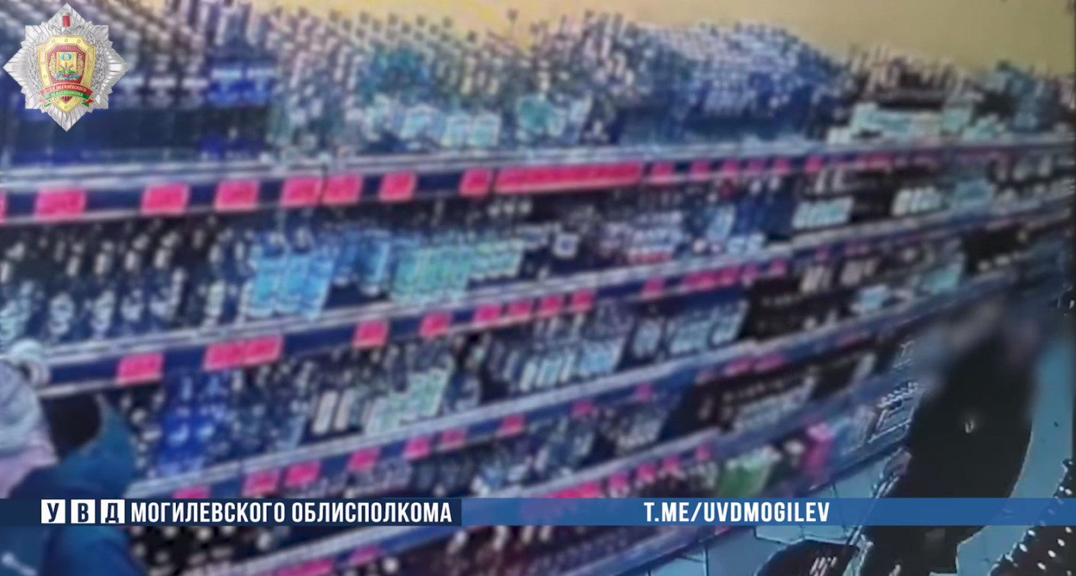 Минчанин за день обворовал три магазина в Могилеве