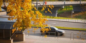 Погода на выходные в Могилевской области: сохранится теплая погода, но местами пройдут кратковременные дожди