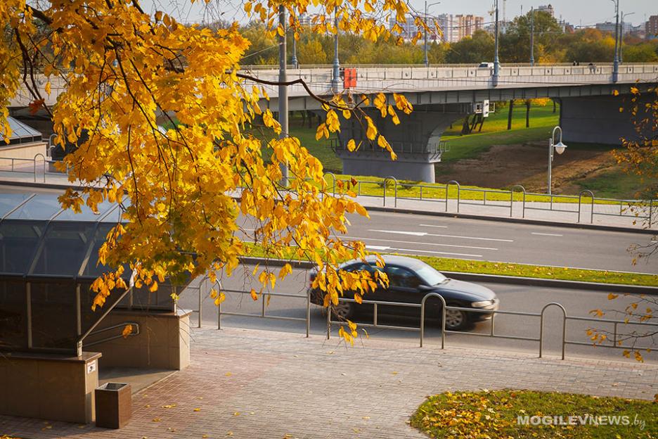 Погода на выходные в Могилевской области: сохранится теплая погода, но местами пройдут кратковременные дожди